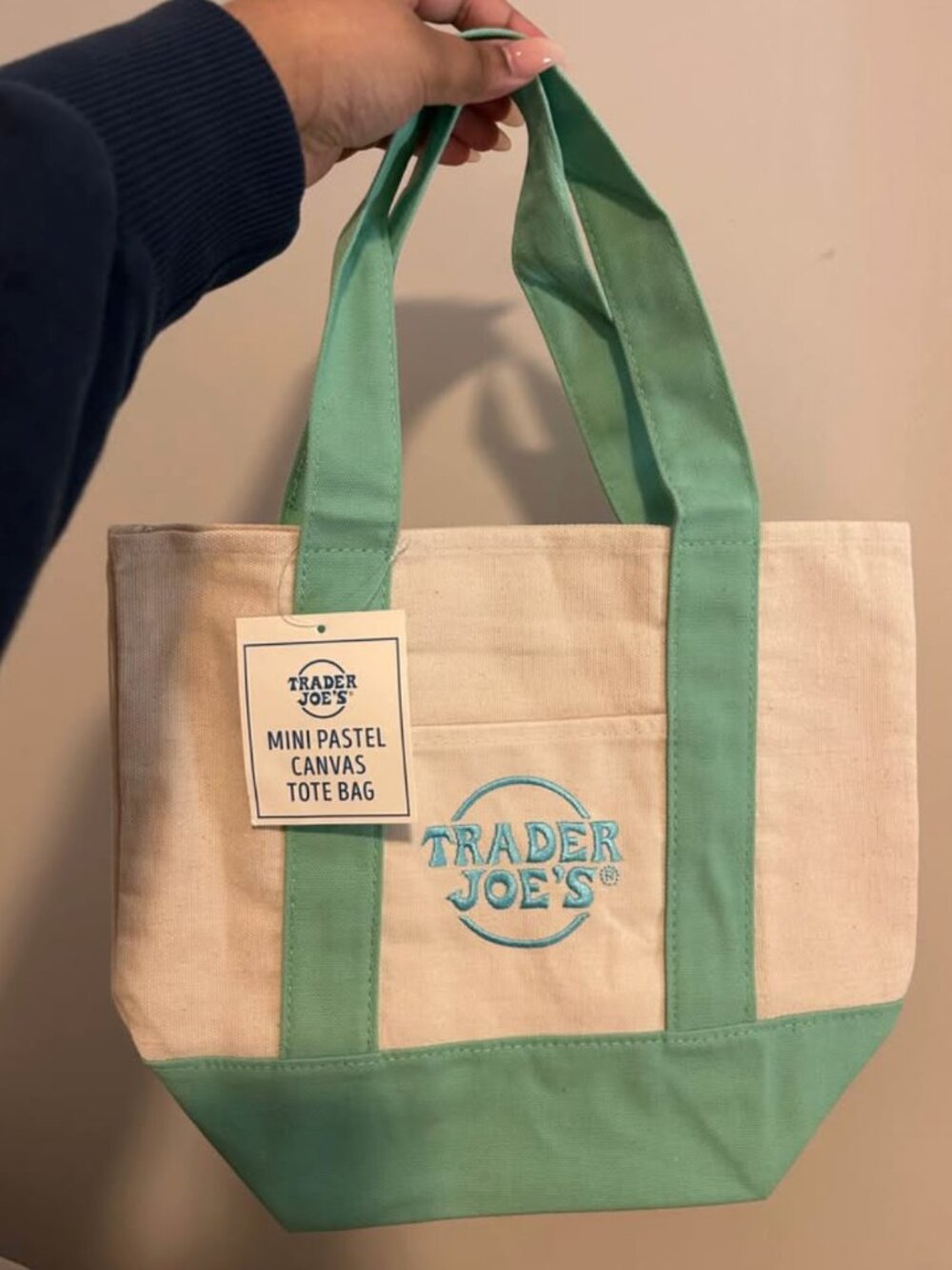 Trader Joe's Pastel Mini Tote Bag
